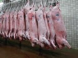 Implementación definitiva de los DTe en Argentina - Image 1