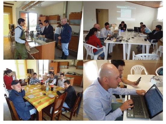 Experiencia con PRV en la ganadería Lindarhaja para producción de leche con ganado Holstein puro y su cruce con sueco rojo en el municipio de Guasca (Cundimarca, Colombia) - Image 31