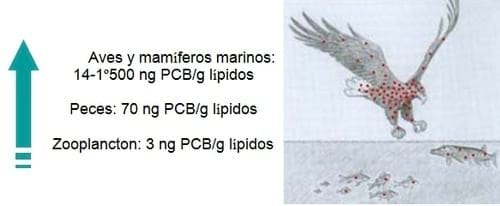 Grasas recicladas en la alimentación animal: Contaminación con Dioxinas y PCBs - Image 2