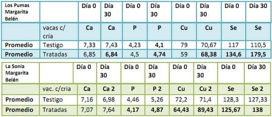 El uso de Minerales inyectables en el preservicio de vacas con cría al pié - Image 3
