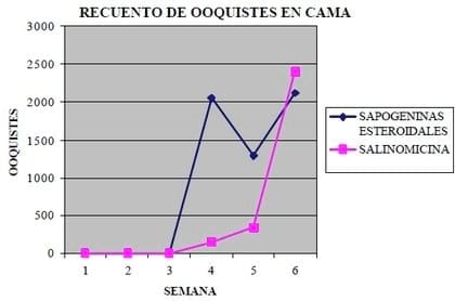 Rendimiento productivo de pollos de carne criados con el anticoccidial natural: Sapogeninas Esteroidales - Image 13