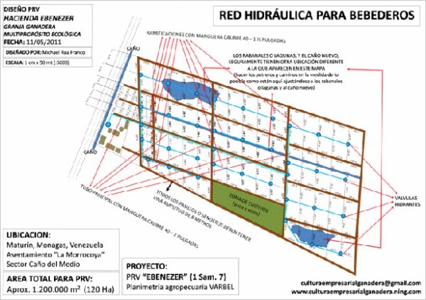 EXPERIENCIA CON PRV EN LA GANADERÍA EBENEZER PARA LA PRODUCCIÓN DE LECHE Y CARNE CON GANADO MESTIZO DE BIOTIPO CEBUÍNO EN EL MUNICIPIO DE MATURÍN, ESTADO MONAGAS, VENEZUELA - Image 7