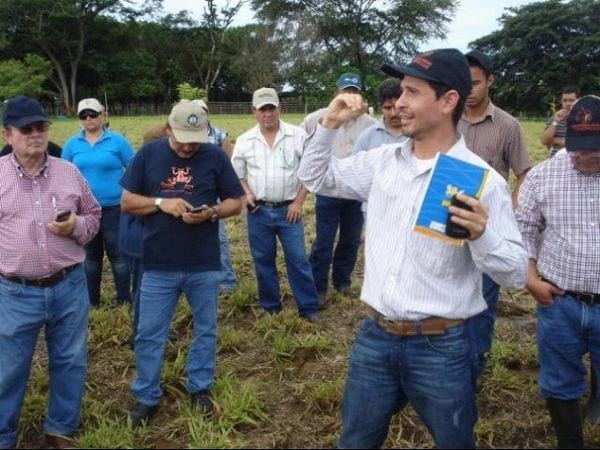 EXPERIENCIA CON PRV EN LA GANADERÍA “LAS MORAS” PARA LA CRÍA Y LA PRODUCCIÓN DE CARNE CON GANADO PURO Y COMERCIAL BRAHMAN BLANCO EN EL DISTRITO DE DAVID, PROVINCIA DE CHIRIQUÍ, REPÚBLICA DE PANAMÁ - Image 41