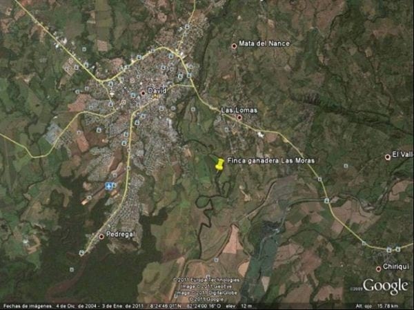 EXPERIENCIA CON PRV EN LA GANADERÍA “LAS MORAS” PARA LA CRÍA Y LA PRODUCCIÓN DE CARNE CON GANADO PURO Y COMERCIAL BRAHMAN BLANCO EN EL DISTRITO DE DAVID, PROVINCIA DE CHIRIQUÍ, REPÚBLICA DE PANAMÁ - Image 1