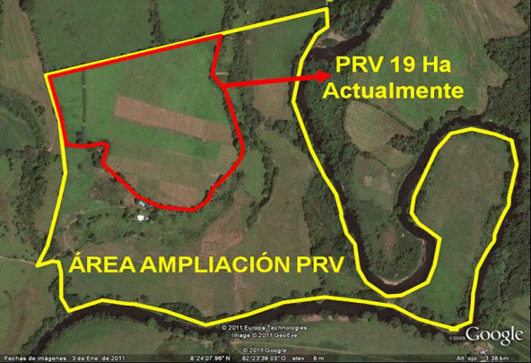 EXPERIENCIA CON PRV EN LA GANADERÍA “LAS MORAS” PARA LA CRÍA Y LA PRODUCCIÓN DE CARNE CON GANADO PURO Y COMERCIAL BRAHMAN BLANCO EN EL DISTRITO DE DAVID, PROVINCIA DE CHIRIQUÍ, REPÚBLICA DE PANAMÁ - Image 2