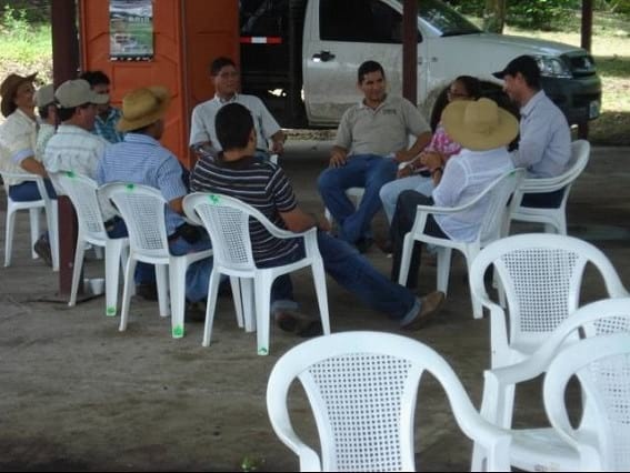 EXPERIENCIA CON PRV EN LA GANADERÍA “LAS MORAS” PARA LA CRÍA Y LA PRODUCCIÓN DE CARNE CON GANADO PURO Y COMERCIAL BRAHMAN BLANCO EN EL DISTRITO DE DAVID, PROVINCIA DE CHIRIQUÍ, REPÚBLICA DE PANAMÁ - Image 43