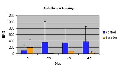 Caballos a campo - Image 4
