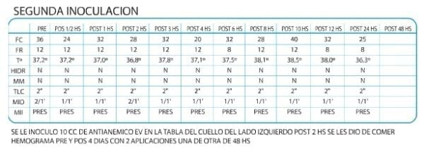 Prueba de testeo del Hemo Plus Forte - Image 6