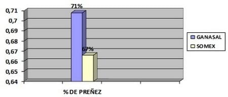 Efecto de la suplementación mineral sobre el desempeño reproductivo en vacas de cría - Image 1