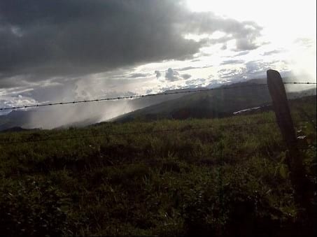 EXPERIENCIA CON PRV EN LA GANADERÍA NUEVO SAN JUAN PARA LA CRÍA Y LA PRODUCCIÓN DE CARNE CON GANADO CEBÚ COMERCIAL TIPO BRAHMAN Y SUS CRUCES EN EL MUNICIPIO DE SAN MARTIN, DEPARTAMENTO DEL META, LLANOS ORIENTALES DE COLOMBIA - Image 15