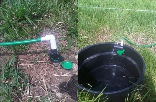 EXPERIENCIA CON PRV EN LA GANADERÍA NUEVO SAN JUAN PARA LA CRÍA Y LA PRODUCCIÓN DE CARNE CON GANADO CEBÚ COMERCIAL TIPO BRAHMAN Y SUS CRUCES EN EL MUNICIPIO DE SAN MARTIN, DEPARTAMENTO DEL META, LLANOS ORIENTALES DE COLOMBIA - Image 13