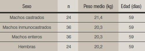 Resultados de diversas alternativas a la castración quirúrgica de cerdos - Image 5