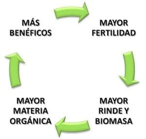 Microorganismos Benéficos: El nuevo paradigma agronómico. - Image 7