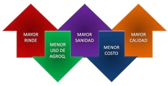 Microorganismos Benéficos: El nuevo paradigma agronómico. - Image 6