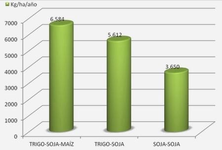 Microorganismos Benéficos: El nuevo paradigma agronómico. - Image 2
