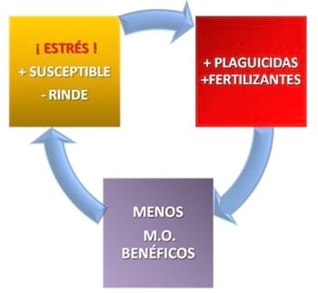 Microorganismos Benéficos: El nuevo paradigma agronómico. - Image 5