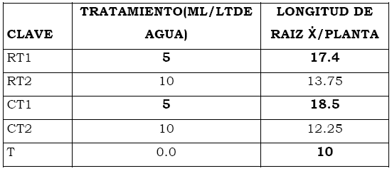 Eficacia de bioestimulante para inducir el Crecimiento y Desarrollo Radicular en Etapa de Vivero del Cultivo de Cacao bajo las condiciones del Valle Chancay (Perú) - Image 18