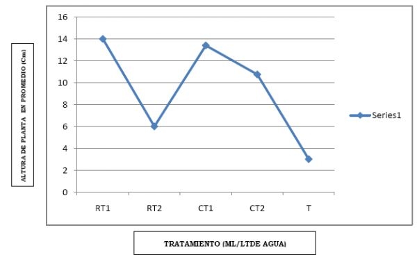 Eficacia de bioestimulante para inducir el Crecimiento y Desarrollo Radicular en Etapa de Vivero del Cultivo de Cacao bajo las condiciones del Valle Chancay (Perú) - Image 11