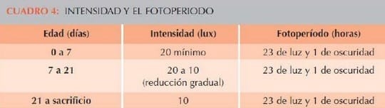 Calculo de iluminación para pollos de Engorde - Image 1