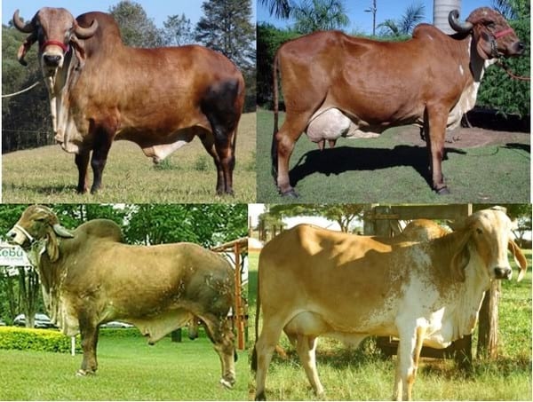 La piel y sus componentes - Image 9
