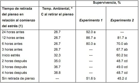 Medidas de alimentación para combatir el Estrés Térmico en broilers - Image 6