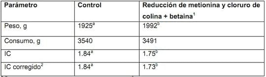 Medidas de alimentación para combatir el Estrés Térmico en broilers - Image 9