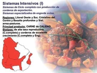 Alternativas tecnológicas para la mejora de la competitividad del rubro ovino: Avances de la investigación de INIA en la raza Merino Dohne - Image 1