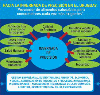 En tiempos de Agricultura: ¿Hacia dónde vamos en la invernada intensiva? - Image 1