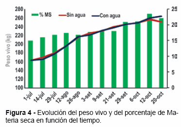 En tiempos de Agricultura: ¿Hacia dónde vamos en la invernada intensiva? - Image 8