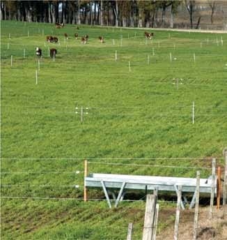 En tiempos de Agricultura: ¿Hacia dónde vamos en la invernada intensiva? - Image 2
