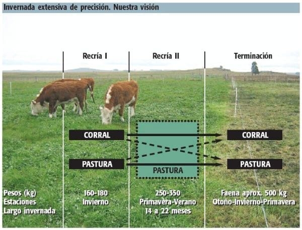 Ganadería e invernada vacuna de precisión para el Uruguay del siglo XXI - Image 2