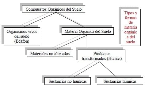 Los Ácidos Húmicos - Image 1