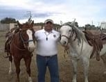 Prueba de acupresión para diagnóstico de problemas neurofuncionales para compra de caballos - Image 1