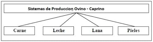 Caracterización de los sistemas de producción campesina de los pequeños rumiantes bajo el enfoque sistémico. Revisión Bibliográfica - Image 2
