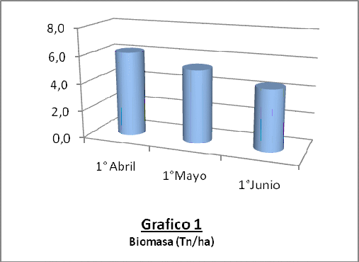 Garbanzo: Un cultivo invernal que promete - Image 2