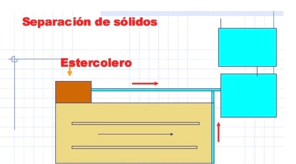 Corrales de Alimentación - Image 10