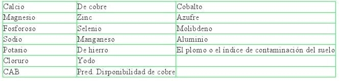 El Hueso en la Producción Equina III - Image 5
