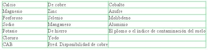 El Hueso en la Producción Equina III - Image 3