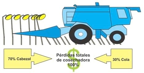 Importancia de la eficiencia de cosecha de girasol - Image 1