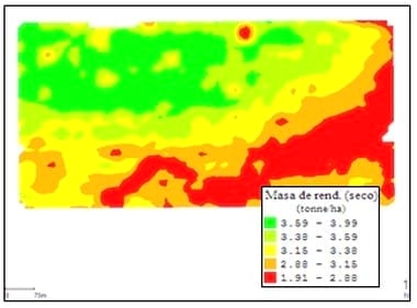 Importancia de la eficiencia de cosecha de girasol - Image 2