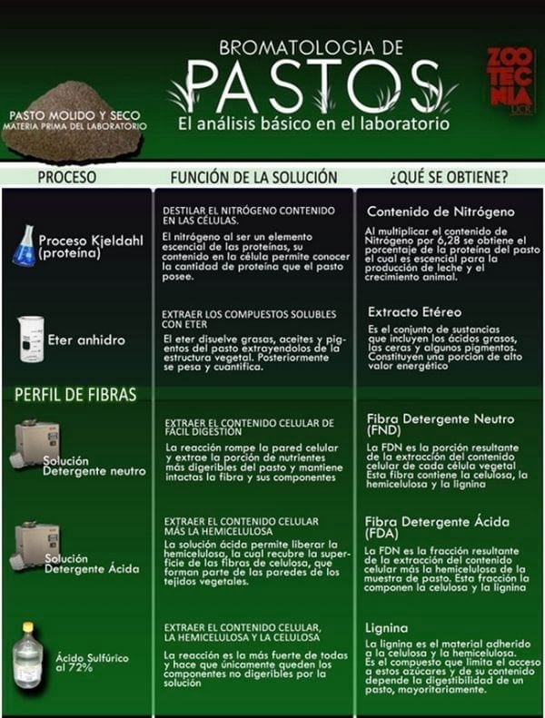 ¿De qué manera se analizan los pastos de su finca en el laboratorio? - Image 3