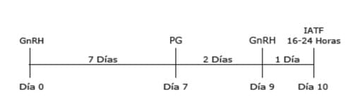 Estrategias para incrementar la eficiencia reproductiva del hato lechero - Image 2