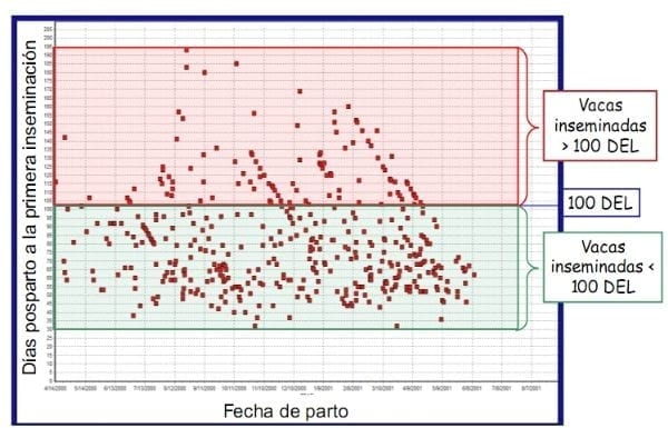 Estrategias para incrementar la eficiencia reproductiva del hato lechero - Image 4