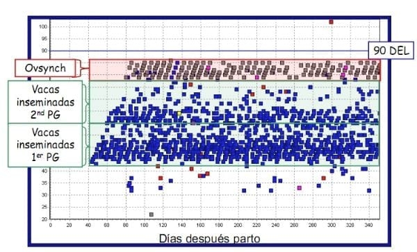Estrategias para incrementar la eficiencia reproductiva del hato lechero - Image 5