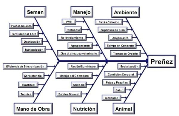 Estrategias para incrementar la eficiencia reproductiva del hato lechero - Image 1