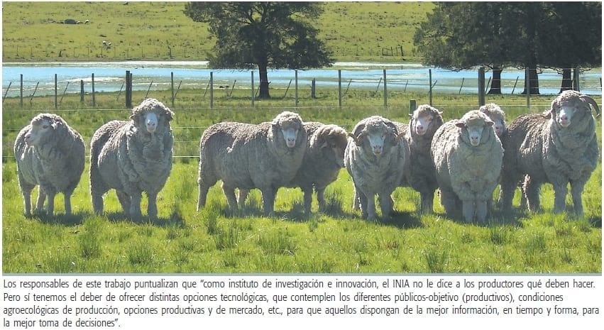 Es necesario un cambio de estrategia - Image 7