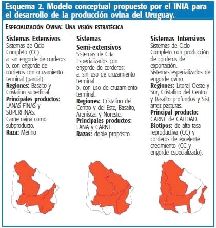 Análisis y aportes del INIA para una ovinocultura más innovadora y competitiva - Image 4
