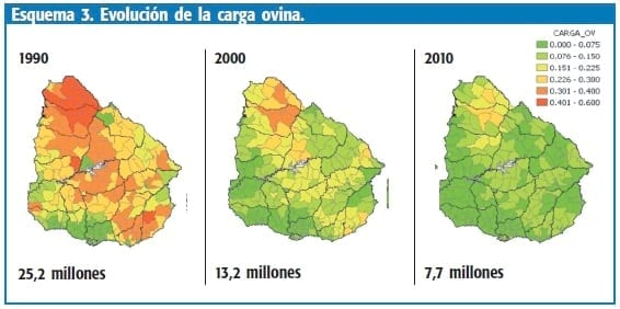 Análisis y aportes del INIA para una ovinocultura más innovadora y competitiva - Image 5
