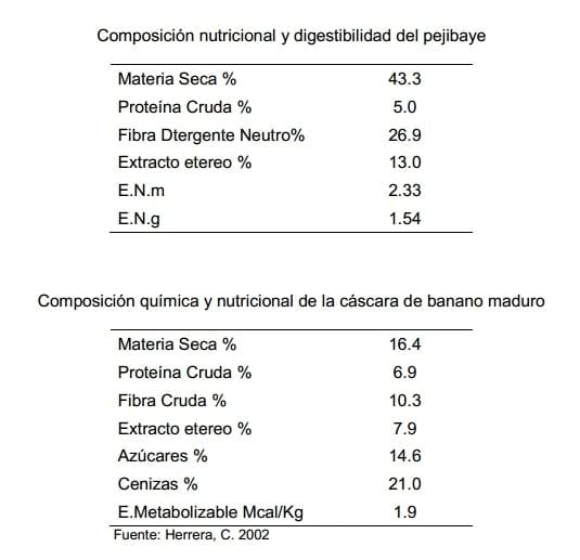Experiencias con ganado estabulado utilizando pejibaye (Bactris gasipaes) y frutas tropicales en Costa Rica. - Image 10