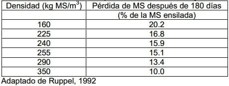 Ensilaje echado a perder: ¿se puede evitar? - Image 2